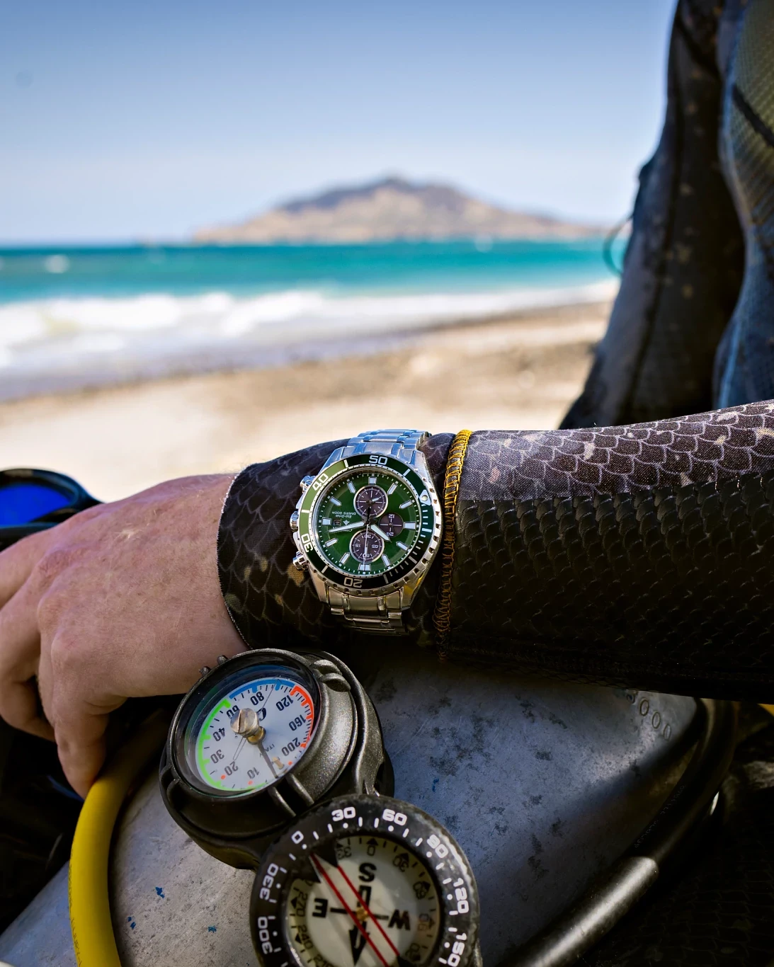 Promaster Dive Green Dial Stainless Steel Bracelet CA0820-50X